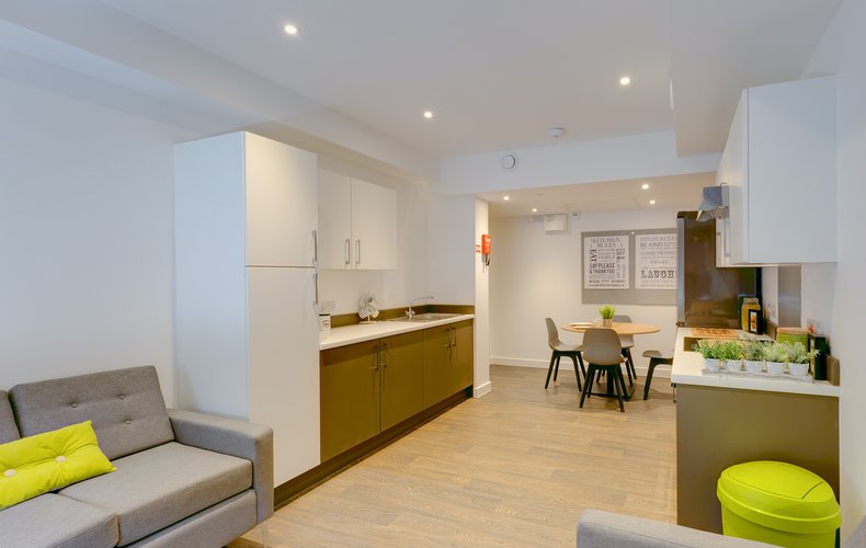 Move-in and move-out cleaning for student rentals in Falmouth